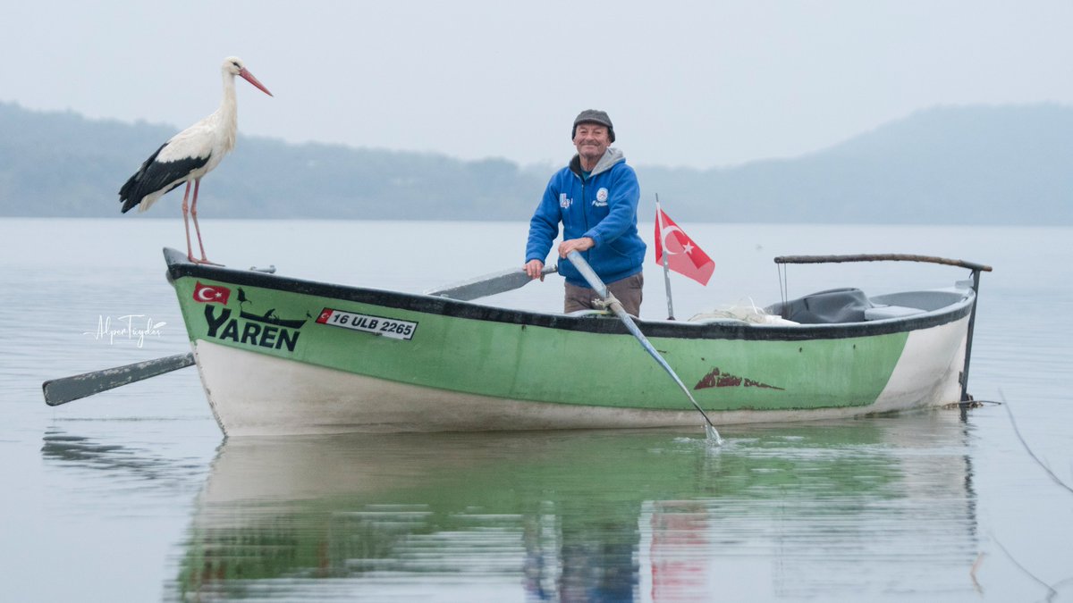 Sonunda Yaren 11. yılında da Adem Amcaya kavuştu. Günler önce çıktığı göç yolculuğunun sonunda dün köye ulaşmıştı. Ve bu sabahın ilk ışıklarında soluğu yine Adem Amca’nın kayığında aldı. Şimdi tüm bir yaz birlikte balık tutacaklar. Kavuşmanın 11. Yılı kutlu olsun, çok yaşasınlar