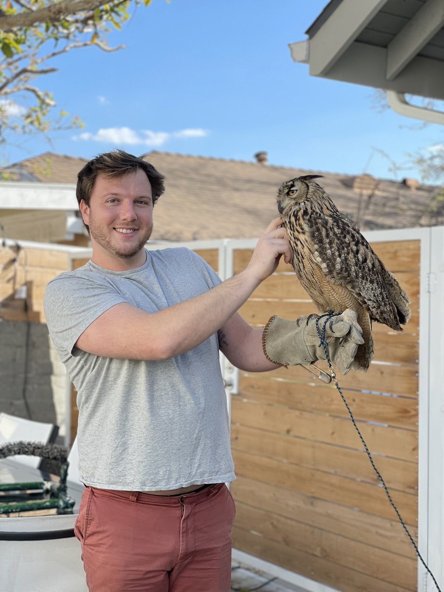 It happened. 
Man with owl came to backyard.
I got to meet owl. 
Bliss.