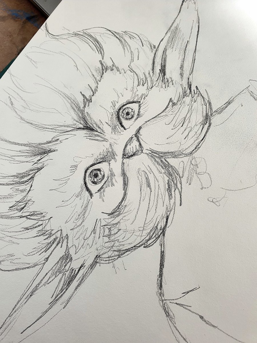 JintyandRayne's tweet photo. Arcane doodles for private art classes done.
#art #adelaide #southaustralian #arcane #doodle #artislife #privatetutor #privateartlesson https://t.co/2k4kL2il5u