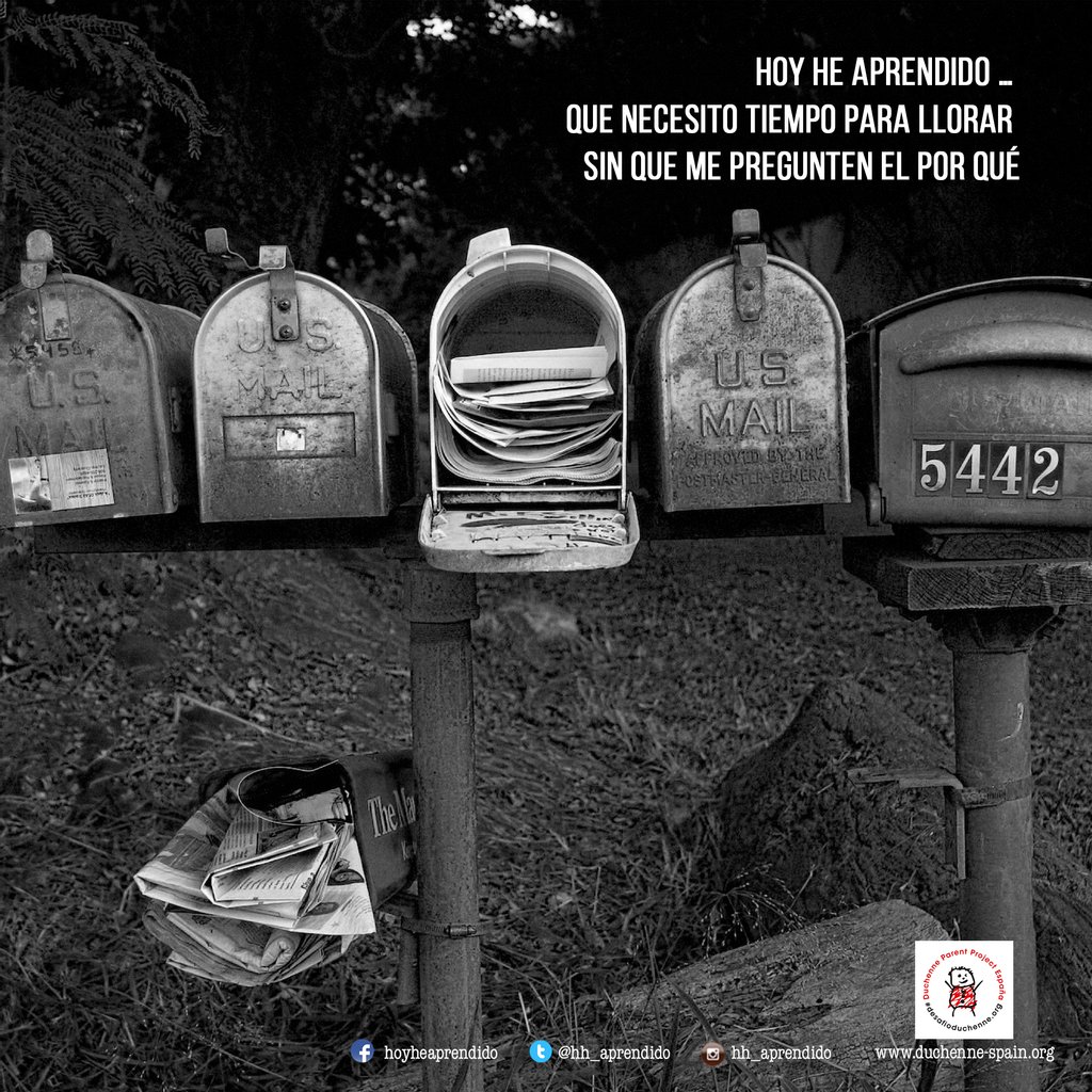 hh_aprendido's tweet photo. Necesito tiempo para llorar sin que me pregunten el por qué
.
.
.
.
.
#sitegustasigueme #duchenne #desafioduchenne #hoyheaprendido #frasedeldia #dmd #musculardystrophy #nonprofit #reflexiones #phraseoftheday #frases https://t.co/S2pMfpWXBD