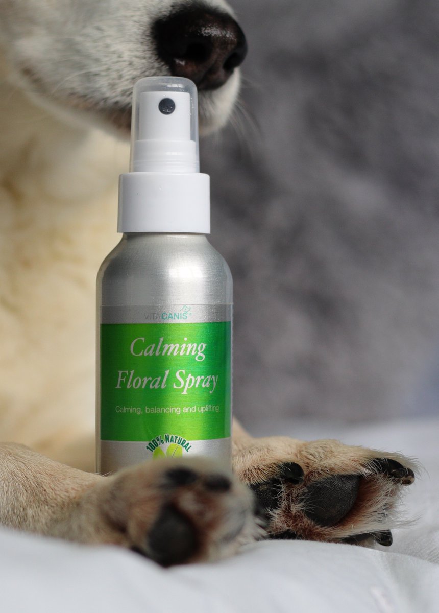 Natural Calming Floral Spray for #dogs helps with:
    •    firework fear
    •    motion sickness
    •    hyperactivity
    •    adjusting to a new environment
    •    visits to vets and dog groomers

dotty4paws.co.uk/product/calmin…

#Earlybiz #dogsoftwitter <a href="/canis_vita/">Vita Canis</a>