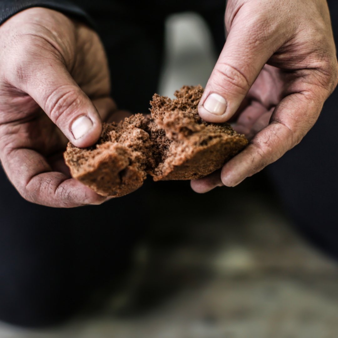 El rey les dirá: "Os aseguro que cada vez que lo hicisteis con uno de éstos, mis humildes hermanos, conmigo lo hicisteis.

#FelizLunes❤️
#SantasFelicidadYPerpetua😇