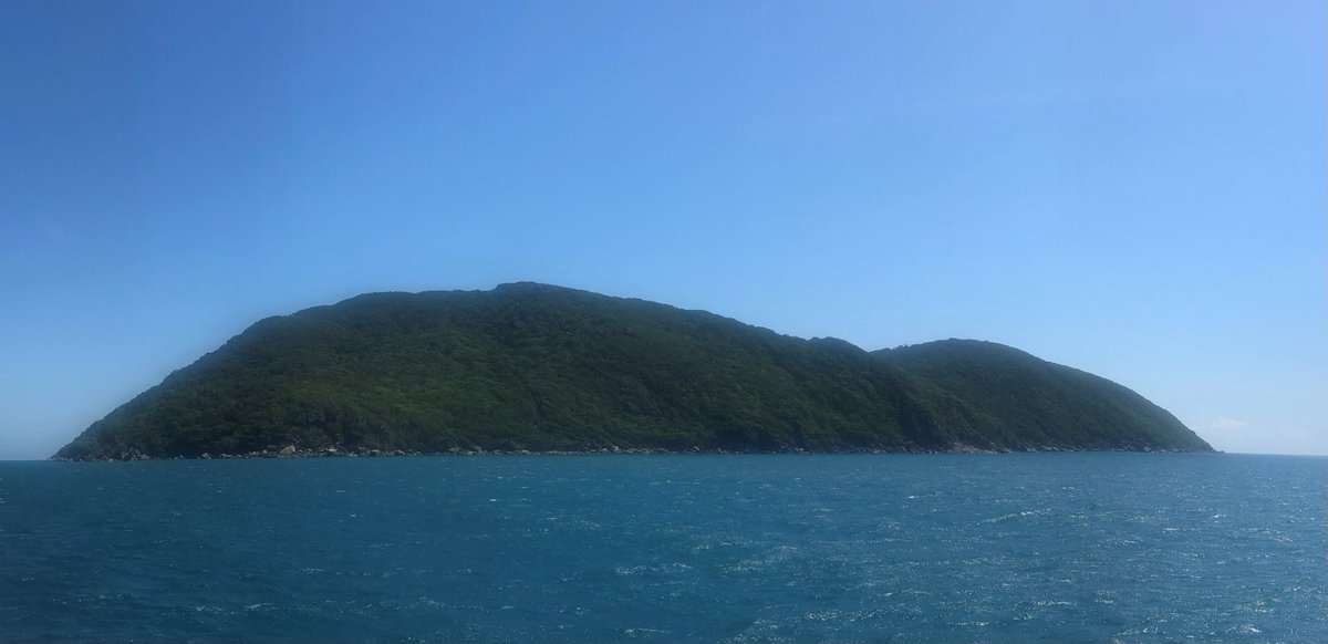 Cruise day 7: We have arrived in Gunggandji sea Country and ready to begin work at Fitzroy and Moore Reefs. We are honored to have permission from Traditional Owners across the GBR for our research and pay respect to the first scientists of the Reef that we all love.