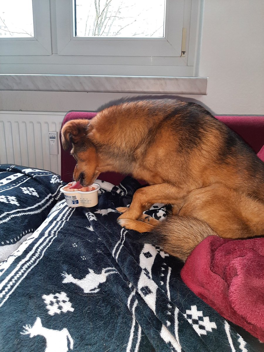 FrechdachsPaul's tweet photo. LEBERWURSTFRÜHSTÜCK!!

Ach und: Guten Morgen ihr Schlawiener.

#GeilerTag
#Leberwurstfüralle https://t.co/Yd8Vtm1tVc