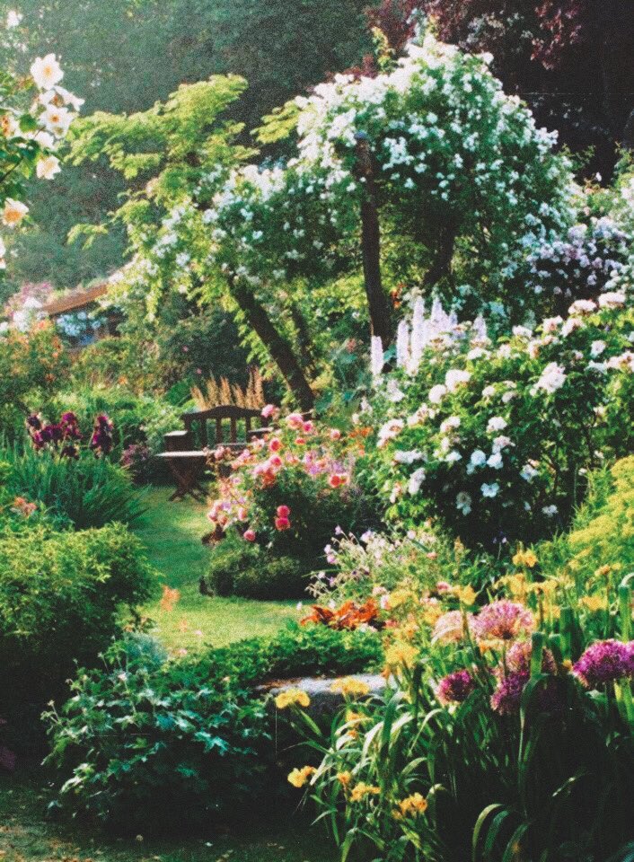 najla⋆ ˚。⋆୨୧˚ tweet media