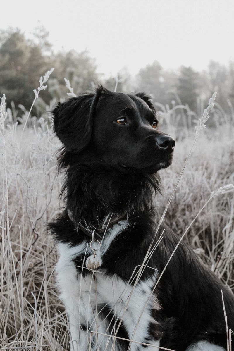 𝐅𝐞𝐝𝐝𝐞 𝐄𝐱𝐩𝐥𝐨𝐫𝐞𝐬 tweet media