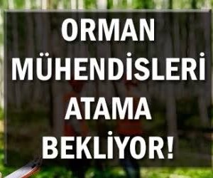OrmanMhendisii's tweet photo. Ülkemizin dışa bağımlılığını minimuma indirmek için odun hammaddesi üretmenin yanında; Ormanların korunması,ağaçlandırılması, Orman yangınlarıyla etkin mücadele için ciddi personel ihtiyacı olduğu bilinen OGM'ye hizmet etmek üzere binlerce Orman Mühendisi haber beklemektedir. https://t.co/T5DHBMWN2Q