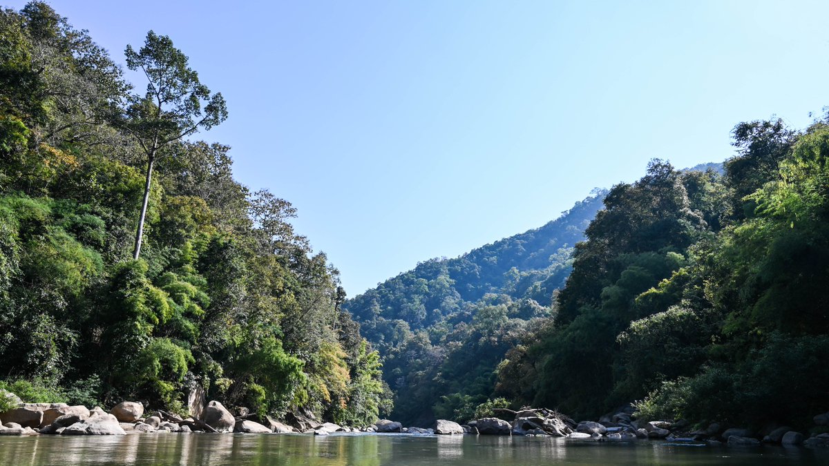 Jack Board tweet media