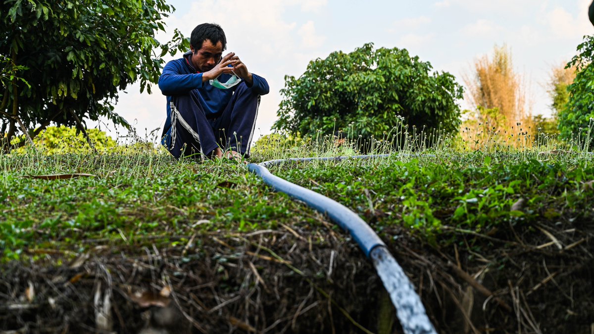 Jack Board tweet media