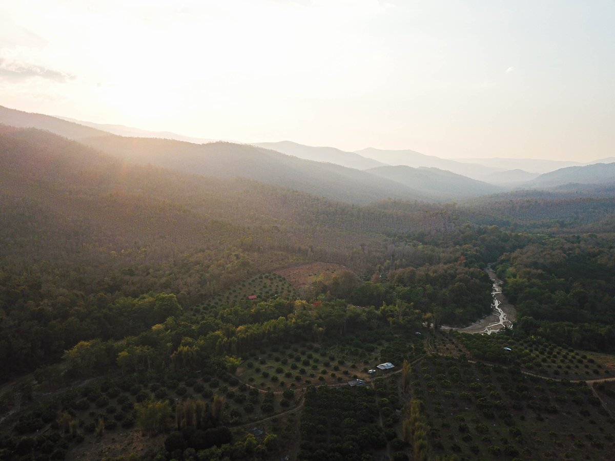 Jack Board tweet media