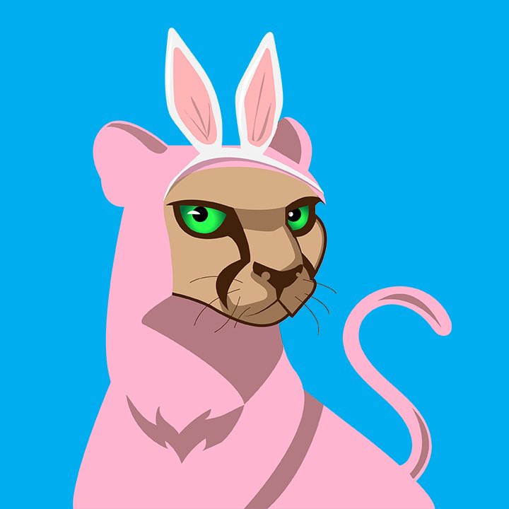 Random Cat tweet media