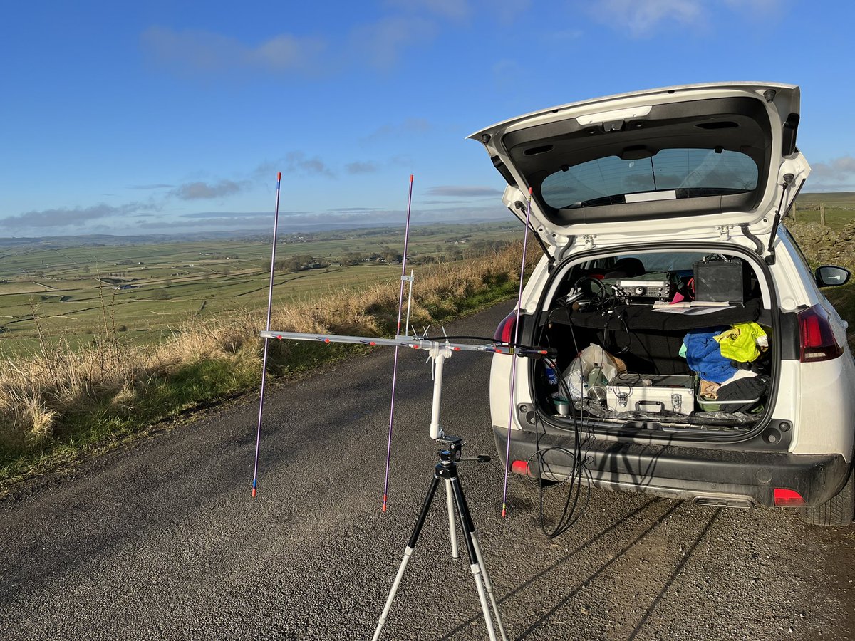 Nick M 1 D D D tweet media