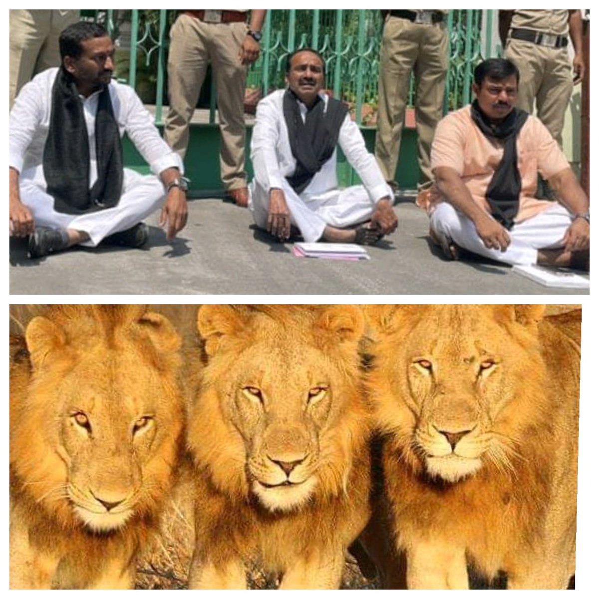 SrinivasGoudLLB's tweet photo. ముడు సింహాల్ని ఒకేసారి చూసే సరికి పందుల గుంపుకు చెడ్డి తడవకుండా ఉంటాడా 😂😂😂

#DarpokKCR https://t.co/8gJl2cAqw1