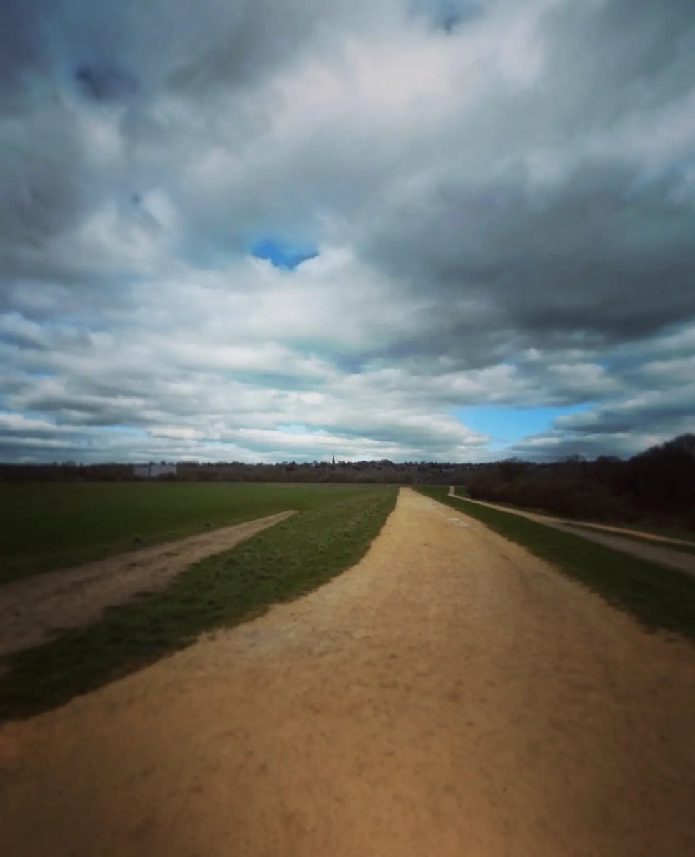 LoneLadyHQ's tweet photo. 15k run out to Kersal Wetlands, Salford. Tho running is for me an overwhelmingly positive activity,I find the worse I feel, the further I run..I am literally running away from my life..& the urge to run increasing distances seems like trying to run 'out' of my life.#runningtruths https://t.co/XEpf8J2Iti