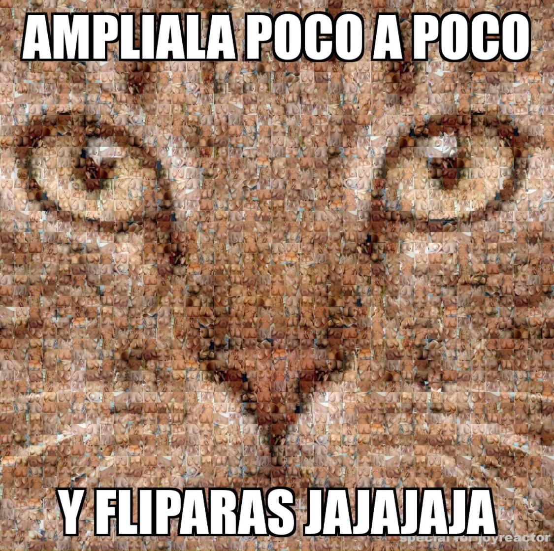 franadur's tweet photo. @Aitormolinaa_ @Liven1312 https://t.co/wCGdTZET8I