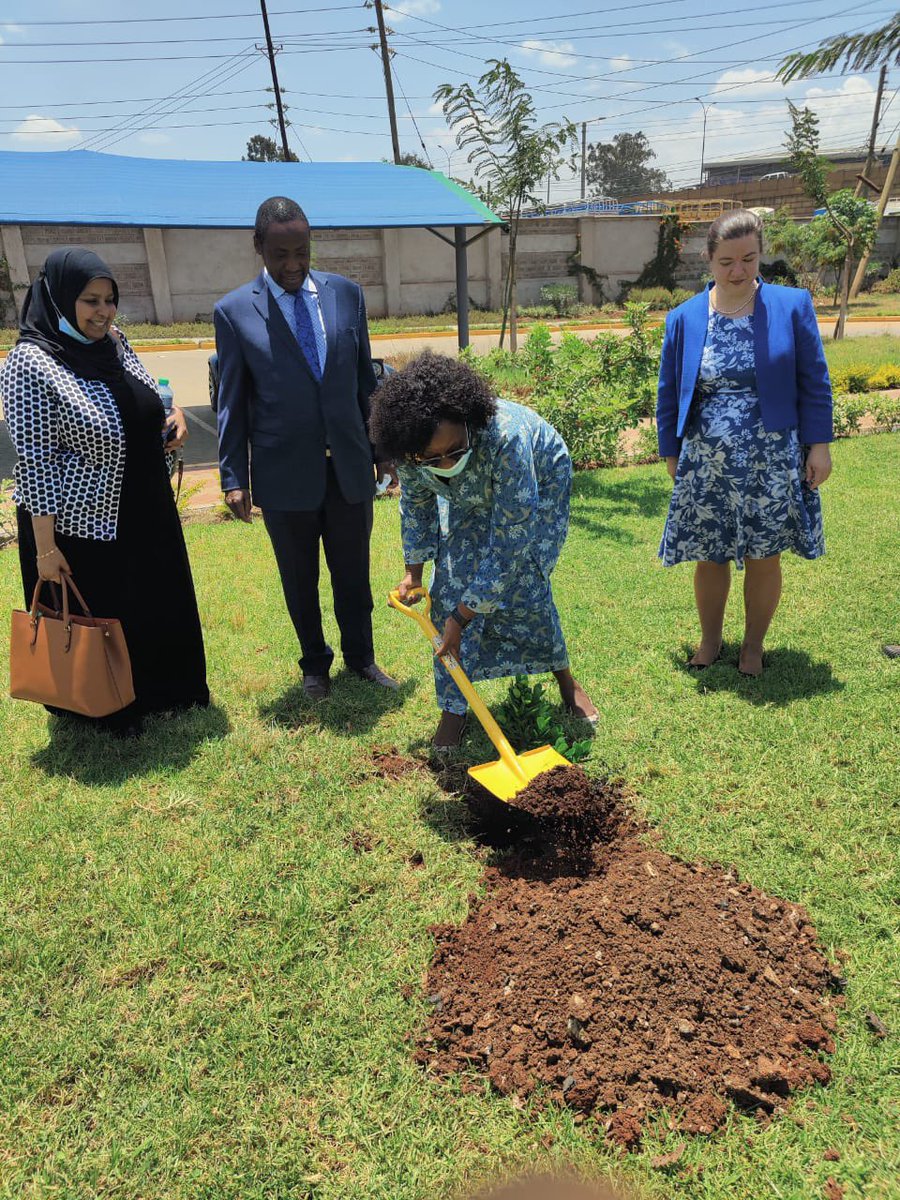 FAO in Kenya tweet media