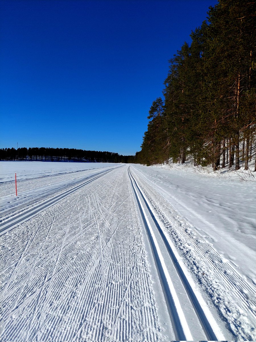 minna625's tweet photo. Sattuneesta syystä tänään hiihtolenkillä paljon tasuria. Eipä hätää, kun voimaa tuntui löytyvän ja suksi luisti. Upea sää! Perhepiirissä asiantuntemusta, joten pitovoitelu nyt teoriassa kerrattu. #talviloma #kevät #hiihto #Kuhmo #huippukeli #liikunnanilo https://t.co/Rnklz0OMb4