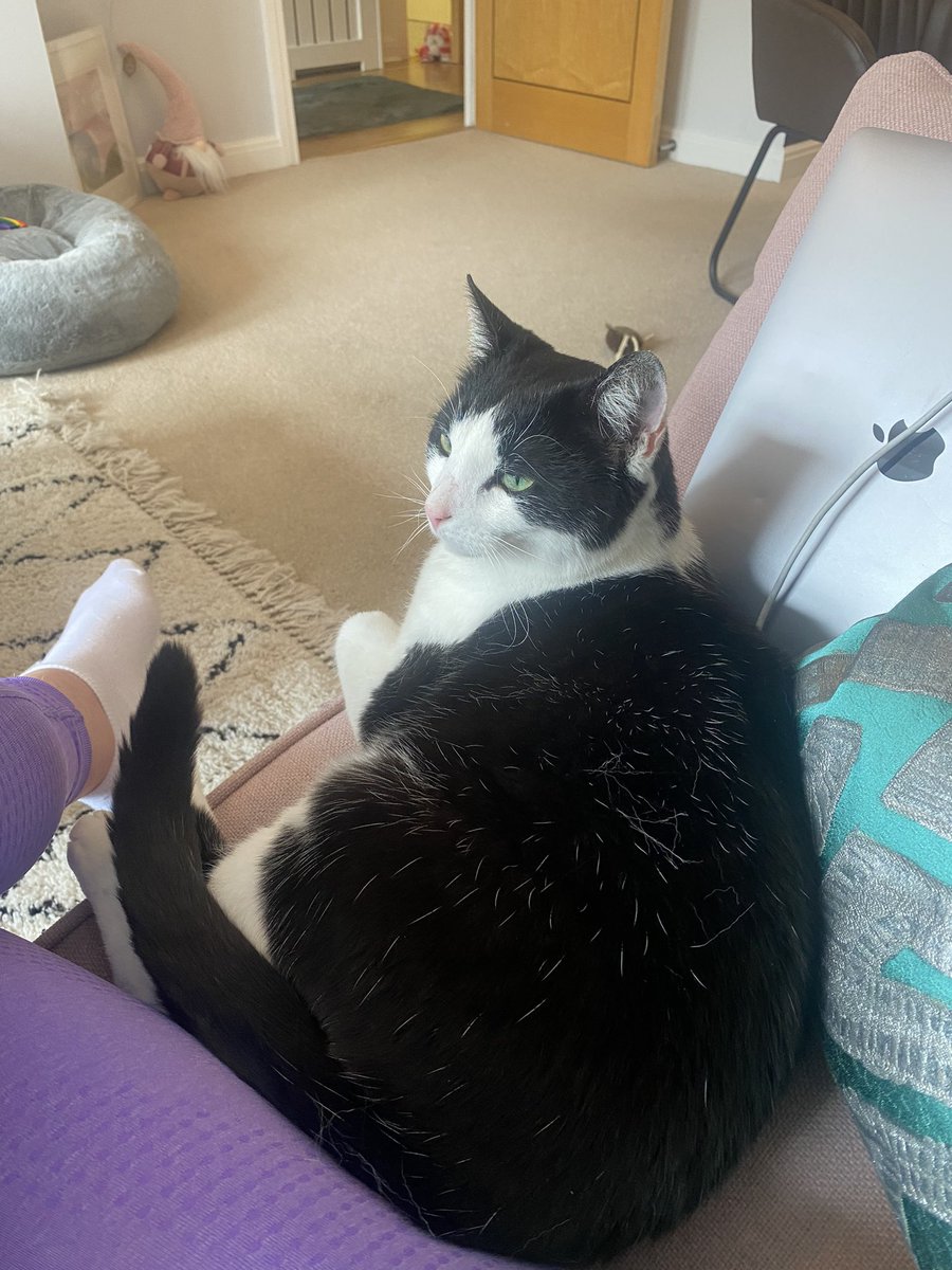 Lydmack98's tweet photo. @TheStourbridge https://t.co/8yCOko1PKQ