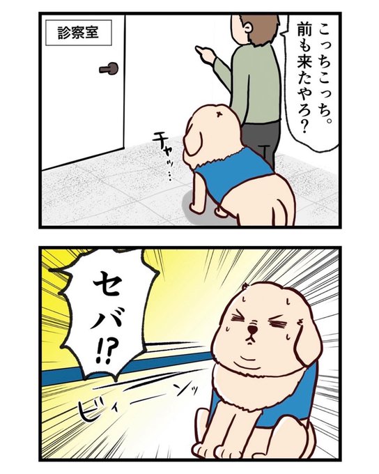 うさぎ漫画のtwitterイラスト検索結果 うさぎ漫画のtwitterイラスト検索結果