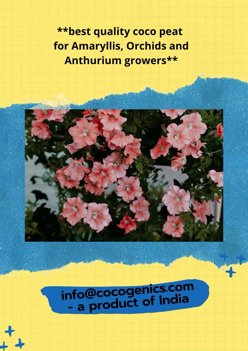 cocogenics tweet picture