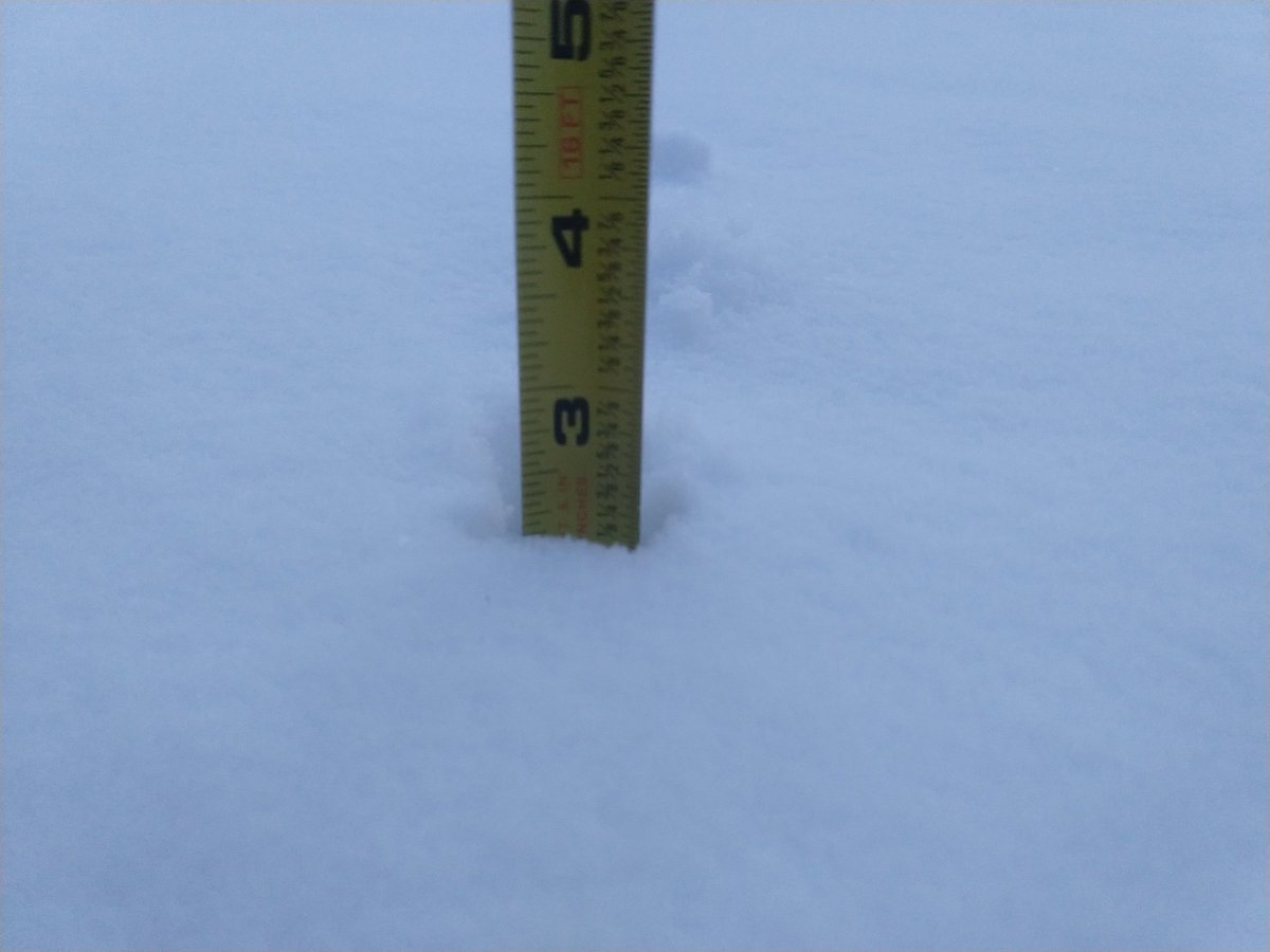 ClaireSurely's tweet photo. @NWSOmaha Around 2 inches and a very excited pupper in central Lincoln at 33rd and Vine https://t.co/YQ9FJp9gDQ