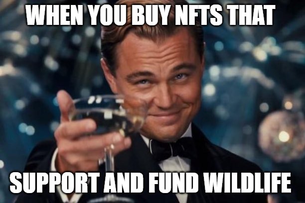 Even the great Gatsby approves Zebra Universe

#NFT  #wildlife  #zebracop