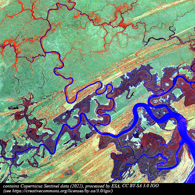 ESA_EarthOnline's tweet photo. These #Copernicus #Sentinel2 images in #FalseColor over #Macuze show part of the deadly #floods that affected #Mozambique as #TropicalStorms Ana and #Batsirai hit the country along two consecutive weeks in Jan/Feb '22. The second image shows #FloodedAreas in blue/dark blue tones. https://t.co/2Vx0ouHHjF