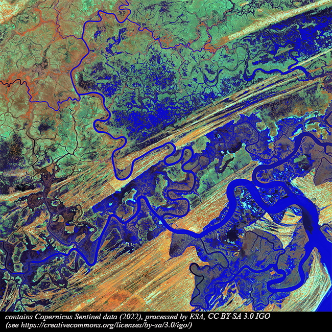 ESA_EarthOnline's tweet photo. These #Copernicus #Sentinel2 images in #FalseColor over #Macuze show part of the deadly #floods that affected #Mozambique as #TropicalStorms Ana and #Batsirai hit the country along two consecutive weeks in Jan/Feb '22. The second image shows #FloodedAreas in blue/dark blue tones. https://t.co/2Vx0ouHHjF
