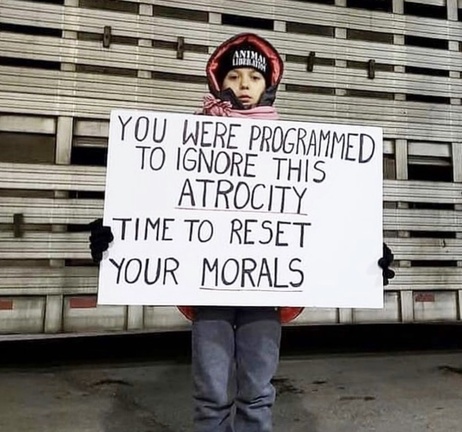 Vegan Future tweet media