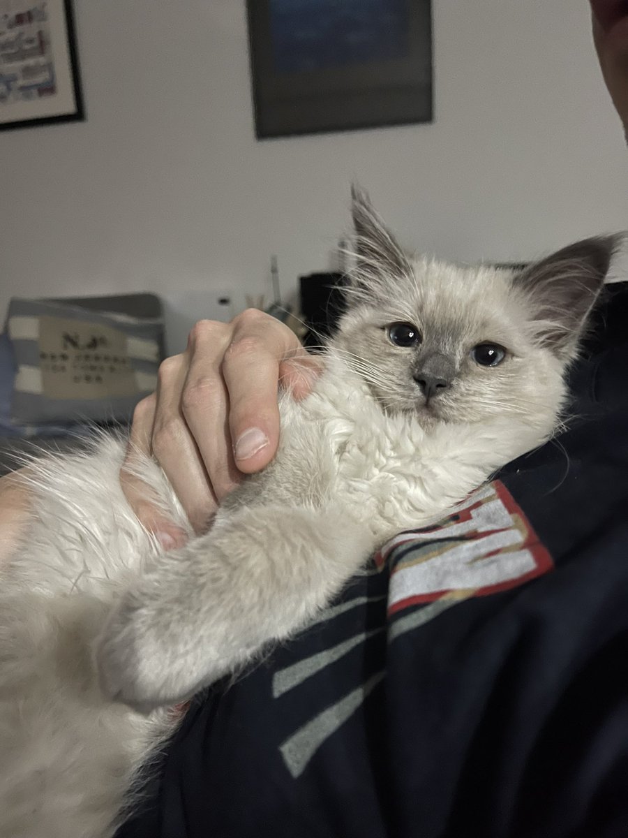 I do still use twitter, this one is keeping me busy though!