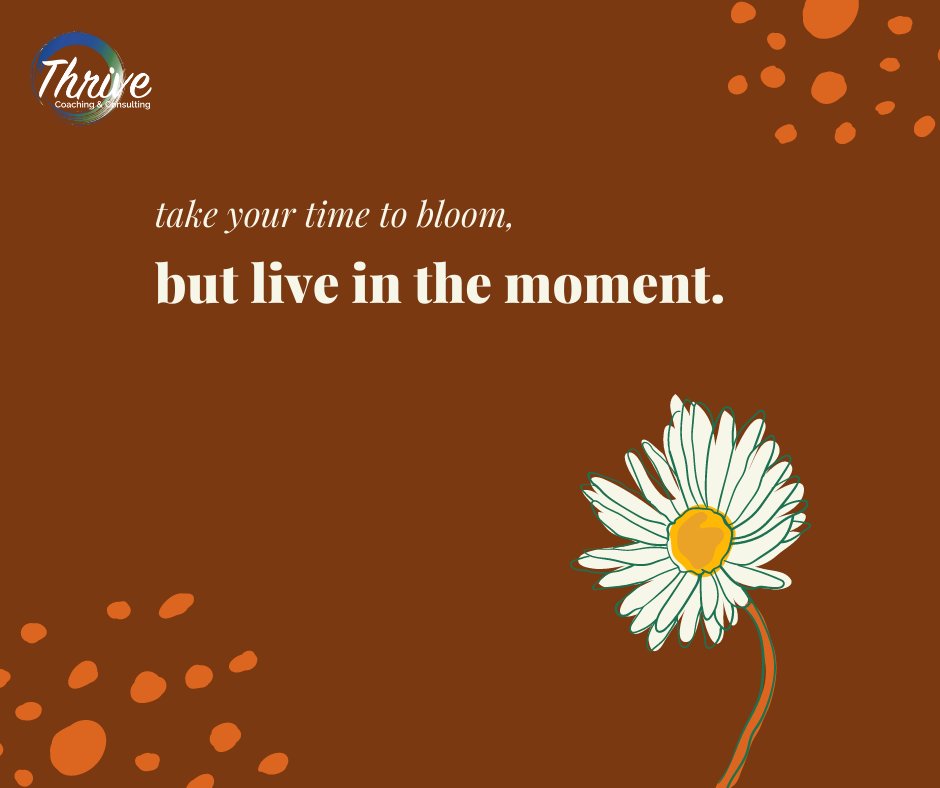 ThriveCoaching1's tweet photo. Live in the Moment.🤍 https://t.co/5ooMAb82ne