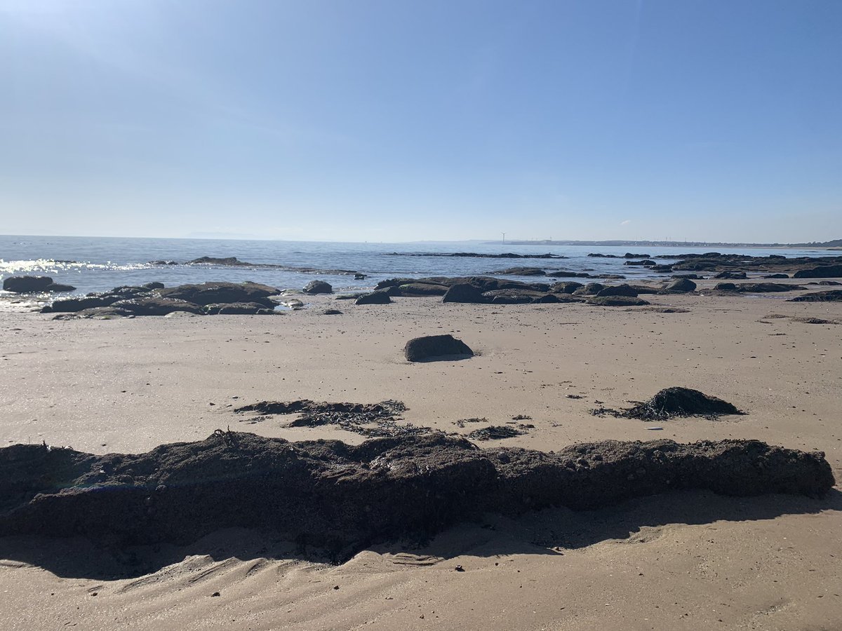 Fiona Bellamy tweet media