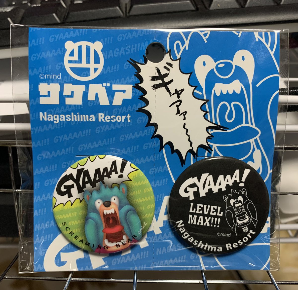 昨日のナガシマスパーランドで自分用のお土産として購入した最高にイカ