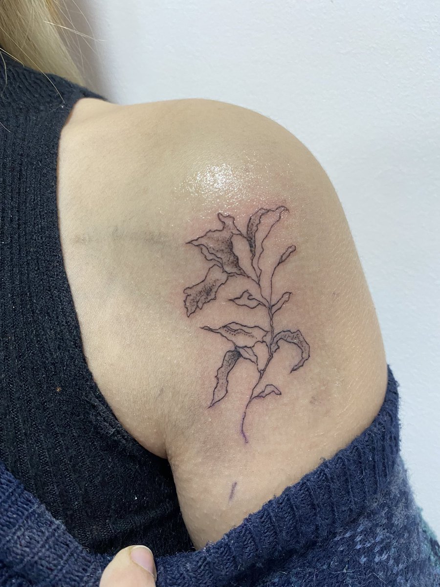 soofiacm's tweet photo. Si quieres un tatu lindo y economico háblame a mi cuenta @ delmalver en instagram 💓💓💓 Tengo diseños disponibles o también me puedes contar tu idea y te creo un diseño ✨✨
Agradezco difusión https://t.co/51MXs1DCP0