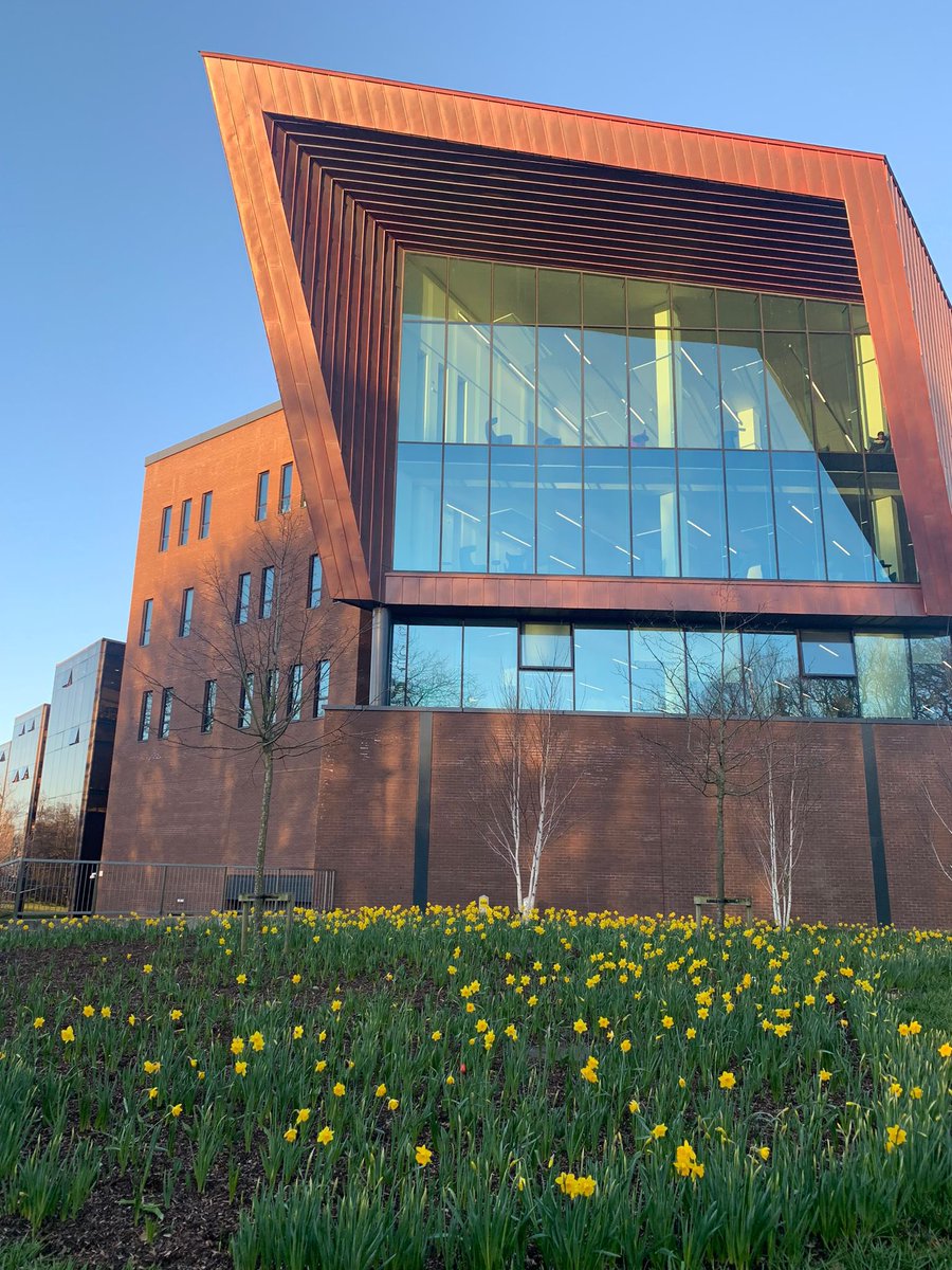 Amazing pic: True Spring at <a href="/UL/">University Of Limerick</a> by Prof.Christiane Lüdge, one of our partners from Dice.Lang project #ErasmusPlus. We are having our Translantional Project Meeting hosted by <a href="/mlal/">Manmohan Lal</a> <a href="/ResearchArtsUL/">Faculty of Arts, Humanities & Social Sciences @UL</a> @Liamski09 <a href="/giralts/">Marta Giralt</a> &amp; <a href="/silviabnn/">Silvia Benini</a> #IrishDaffodils 🌼 at <a href="/ULLibrary/">Glucksman Library</a>