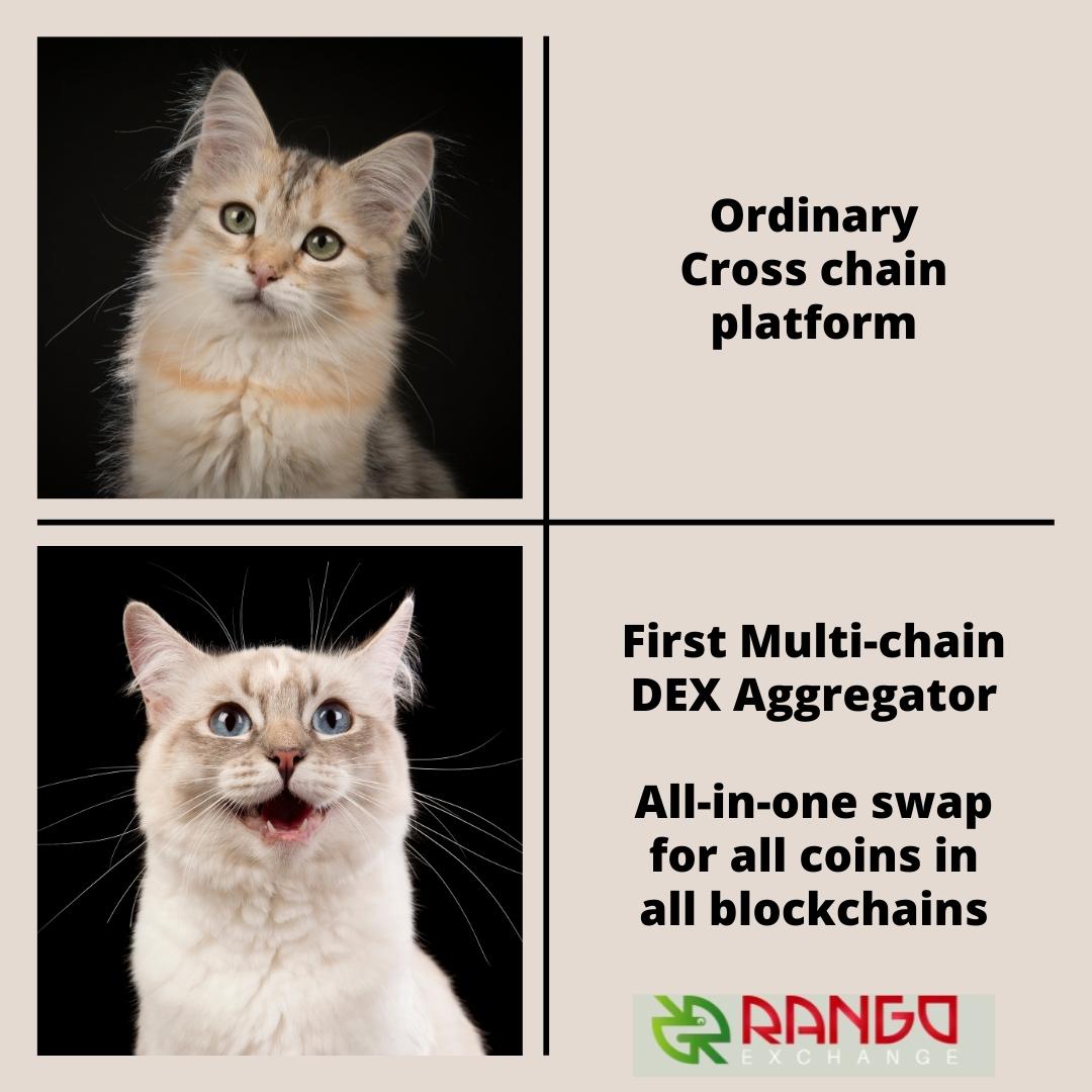 CanBeBlank's tweet photo. @CryptoCoiners Rango Exchange ✔ The First Multichain Dex/Bridge Aggregator 

✅  All-in-one swap for all coins in all blockchains
✅  Most secure, fast, and easy path
✅  Support more than 27 blockchains
✅ 12+ bridges/DEXes, and 6 different wallets

$Rango 
@RangoExchange
#RangoExchange https://t.co/UcZUJ5Ehgh