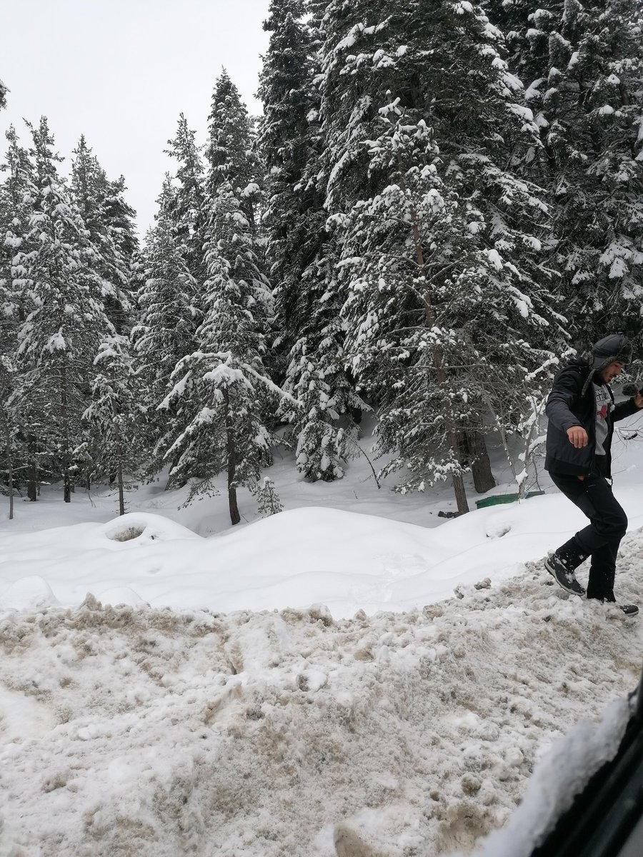 1Kurek2's tweet photo. #anlık #bolu #kar #snow https://t.co/btrJlmXcMa