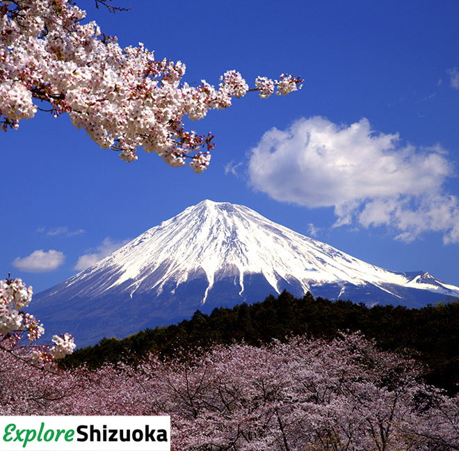 Home to iconic Mount Fuji and just an hour from Tokyo, Shizuoka prefecture fuses spectacular scenery with authentic culture and exceptional cuisine. Explore Shizuoka with @AlfredandTweets. Find out more>>> bit.ly/AlfredAndShizu…