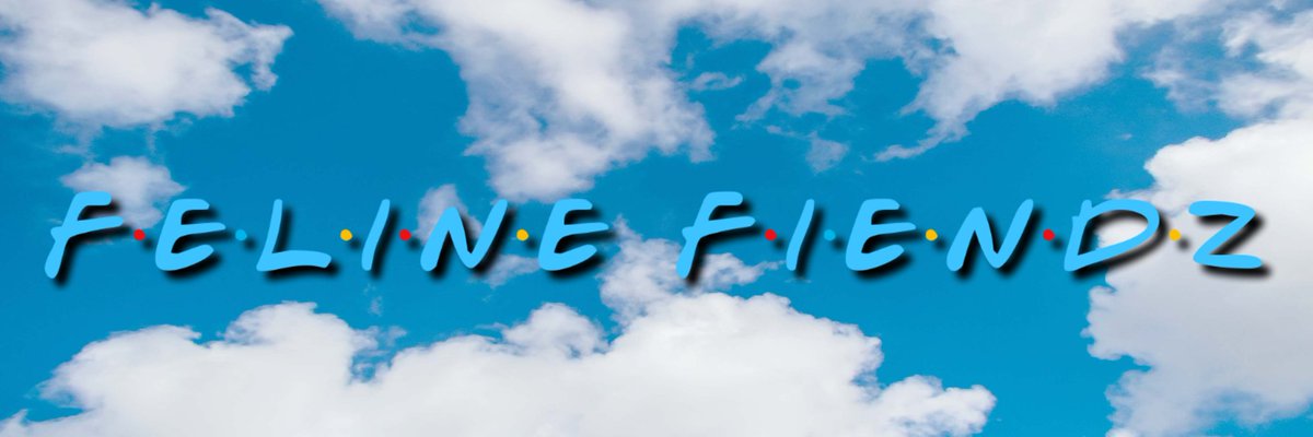 JFATS206's tweet photo. Anyone need a @FelineFiendz Twitter banner?

Feel free to use it... jus remember...
#FiendzFollowFiendz
#FiendzFolllowFiendz https://t.co/J3Oge77ipd