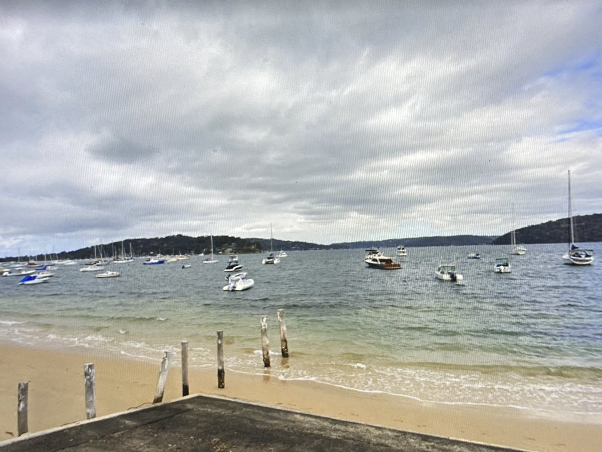 CatherineActive's tweet photo. Kayaking in Pittwater near Palm Beach. Paddling from 10am to 3:30pm. A medium sized water dragon paid us a visit when we were having lunch. It was wanting food from us. https://t.co/mcyoy6utQB