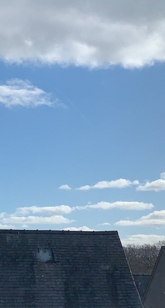 beeboppboogie's tweet photo. Have pictures of a squirrel and the sky :] https://t.co/bPIOTXigiN