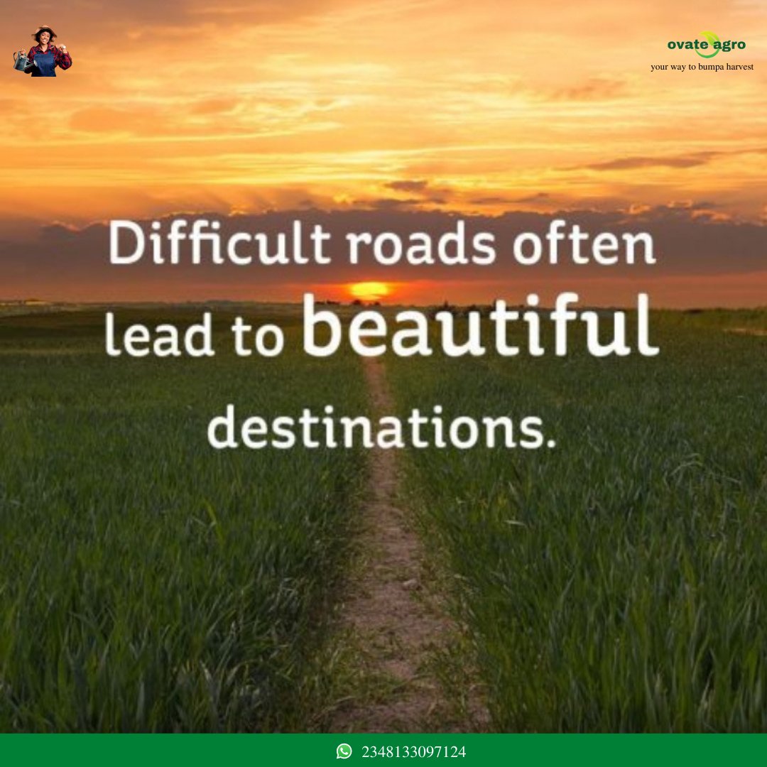 OvateAgro's tweet photo. https://t.co/0WJyMpotEZ