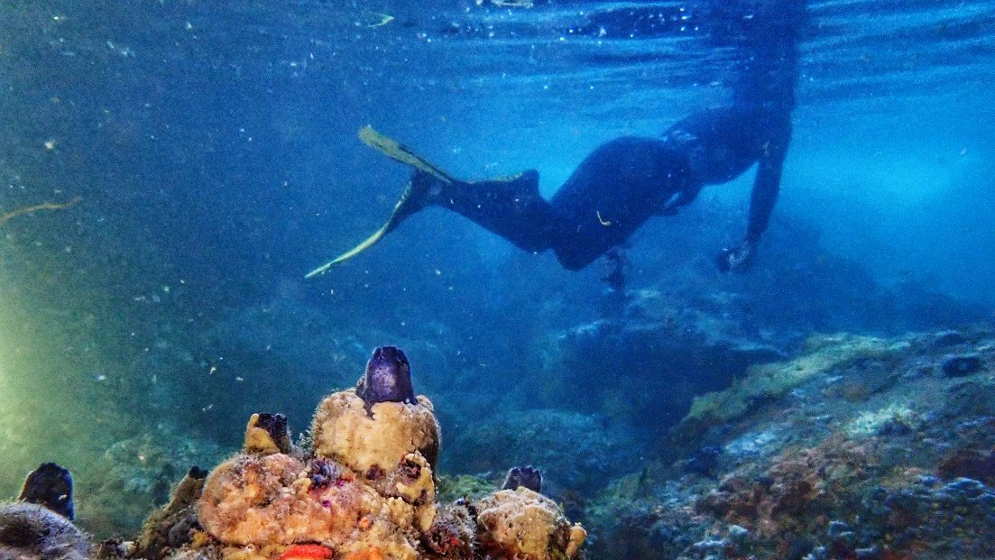 StrandloperP's tweet photo. Dive into #Ocean #conservation with the #StrandloperProject.
#FishfortheFuture #ghostfishing #saveouroceans #plasticfreefuture #GardenRoute
https://t.co/ebGBTZzZv4 https://t.co/YogC2lA85R
