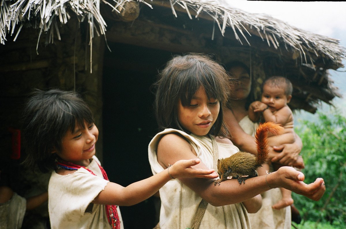 Nous sommes toujours soucieux et curieux de mieux vous connaitre, afin d’imaginer des actions communes. 🙌

Un questionnaire a été mis en place comme tentative de dialogue avec vous qui nous soutenez. Pour y répondre : bit.ly/3Ho9MEJ framaforms.org/lassociation-t…