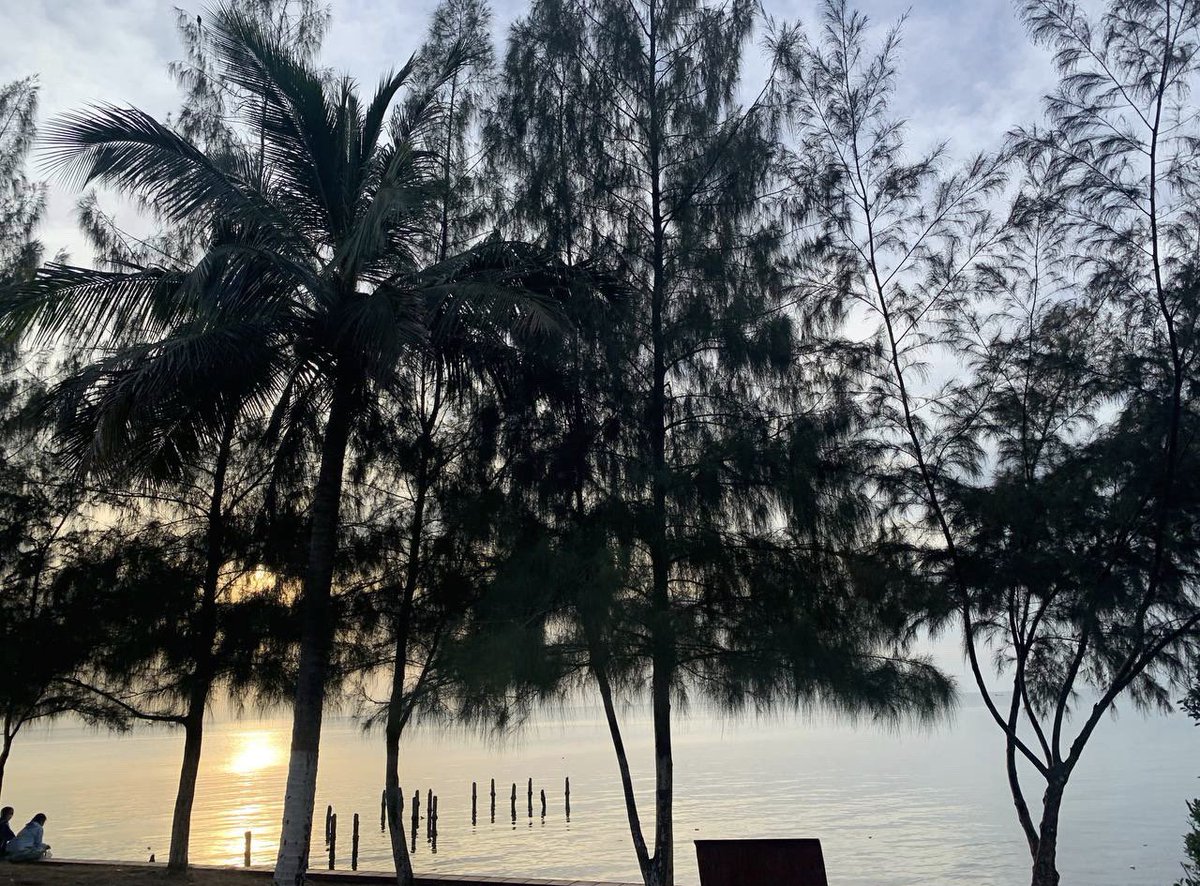 Qin_Yaa89's tweet photo. Feeling relax 🏝🏝 https://t.co/UYiby71f8n