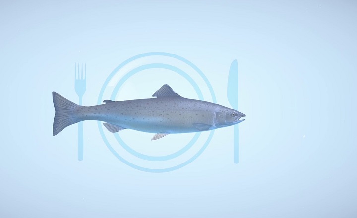 NewProteinNPD's tweet photo. Congratulations to @BioMarGroup who are scaling up the inclusion of #microalgae into its flagship product line - making fish food that is not only highly nutritious but sustainable https://t.co/RkbZCQlole https://t.co/Kwmj9ScX6z