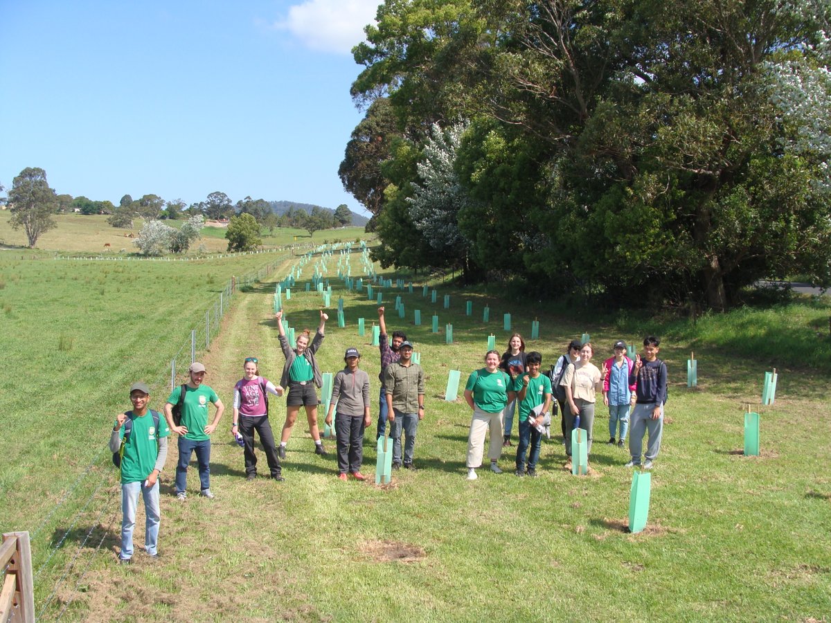 I am trying to "grow" a tree-planting program for the University of Wollongong <a href="/UOW/">UOW</a> in the Illawarra. We need partners with trees to plant. We can be the army to plant your trees. Please get in touch.