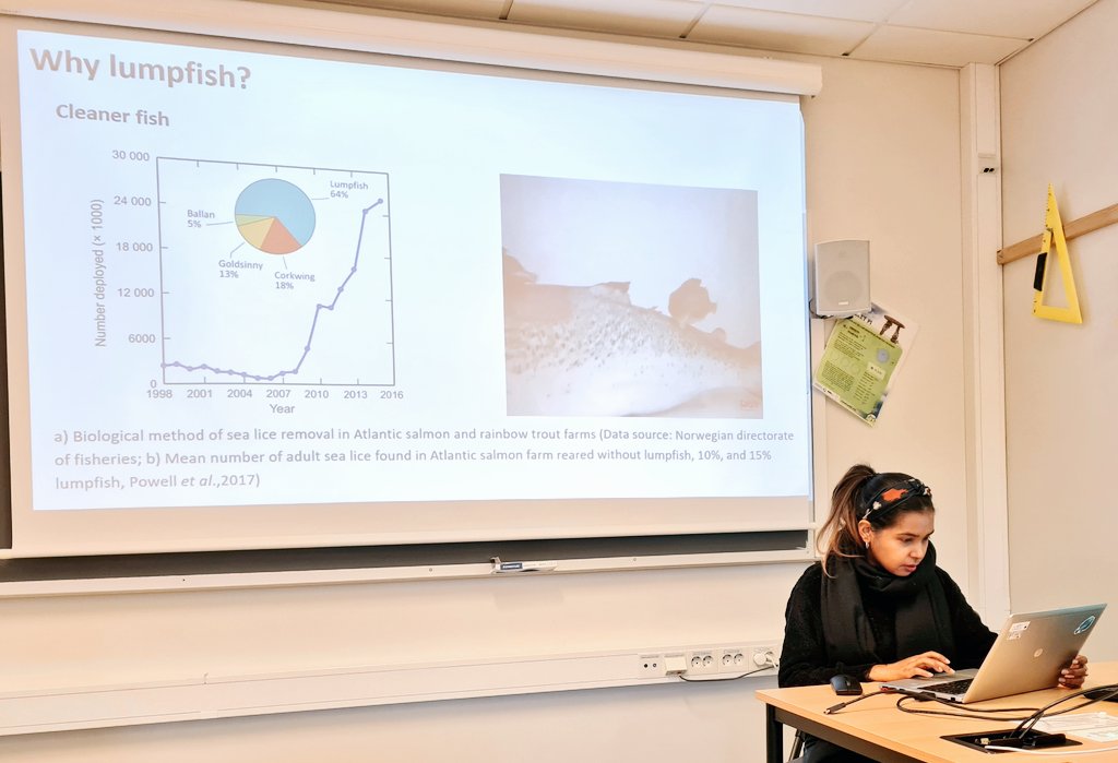 The Science Show at Nord (@scienceshownord) on Twitter photo Why study lumpfish? Cyclopterus lumpus, also known as lumpsucker, is used in some fish farms as an alternative to pesticides to remove sea lice from salmon. Deepti Patel (Ph.D.) <a href="/deepi_mp/">Deepti Patel</a> has been focusing her work on understanding better the immunity of this species. Why study lumpfish? Cyclopterus lumpus, also known as lumpsucker, is used in some fish farms as an alternative to pesticides to remove sea lice from salmon. Deepti Patel (Ph.D.) <a href="/deepi_mp/">Deepti Patel</a> has been focusing her work on understanding better the immunity of this species.