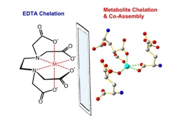 Catalysts can act as “power generators”? ZJU-Hangzhou Global Scientific and Technological Innovation Center reveals the secret for you! 
#innovation #HICZJU
hic.zju.edu.cn/hicenglish/202…