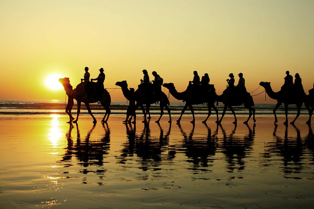 wanderlustmag's tweet photo. Hit the road in Western Australia > https://t.co/lMSKGo7xF6
From the red dirt and open spaces of the Kimberley, to the lush forests and pristine coastline of the South West, Western Australia promises a road trip full of adventure...
#ad #wlwa https://t.co/yCOTScvncQ